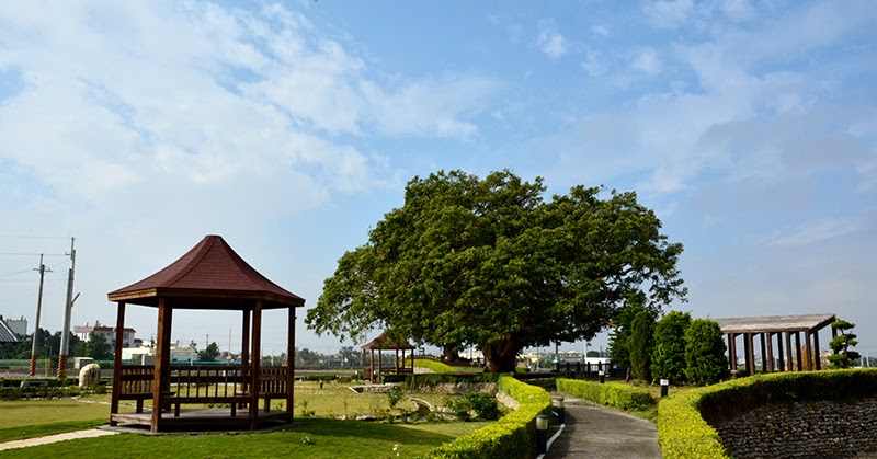 田中老樹公園