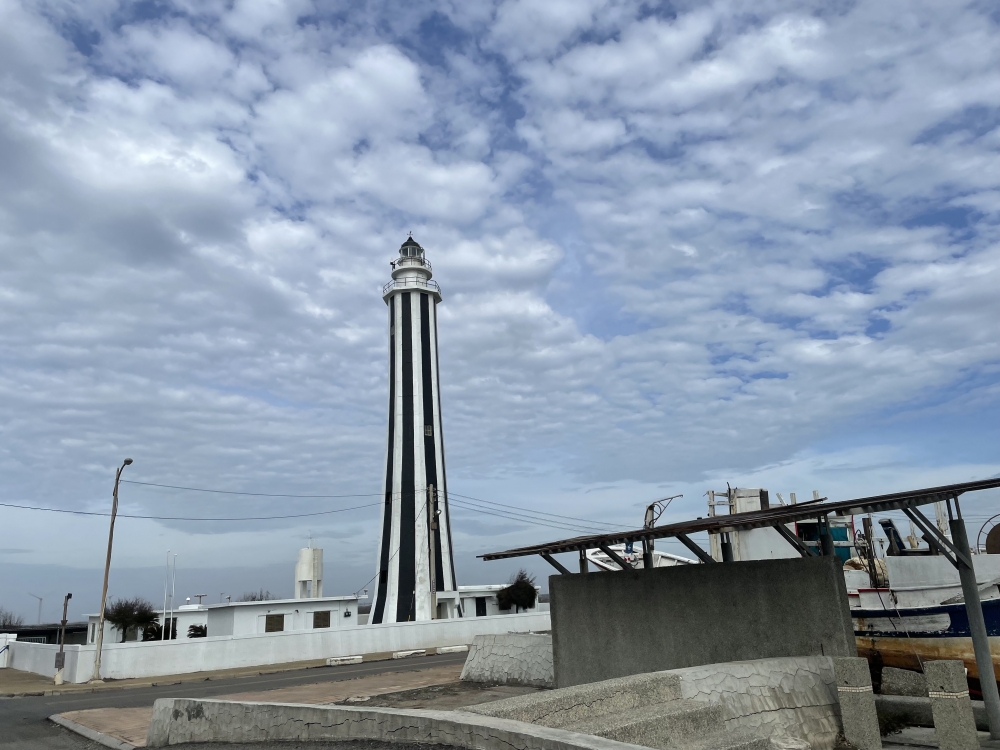 海空步道x看海牛