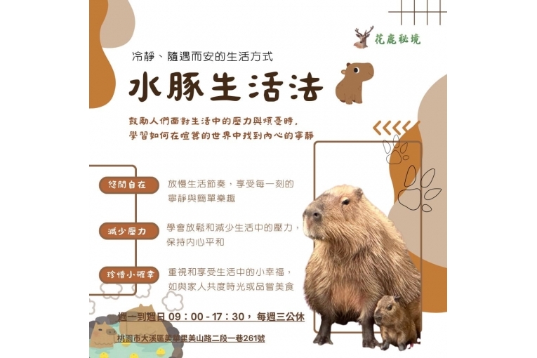 特色照片