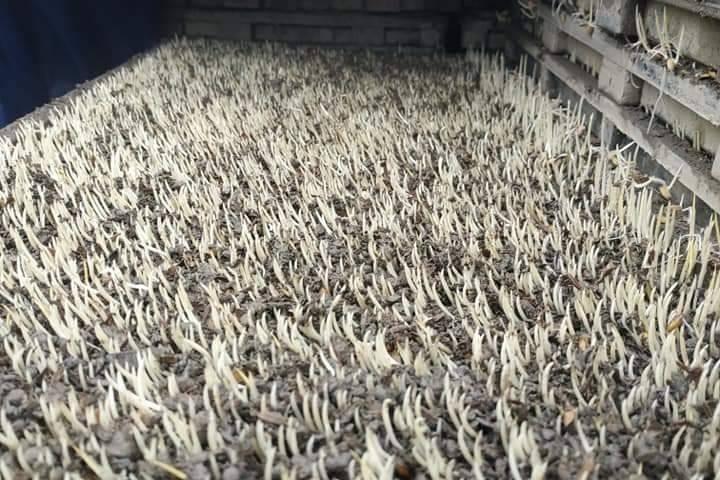 特色照片