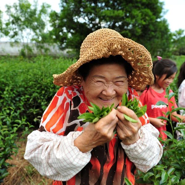 星源茶園