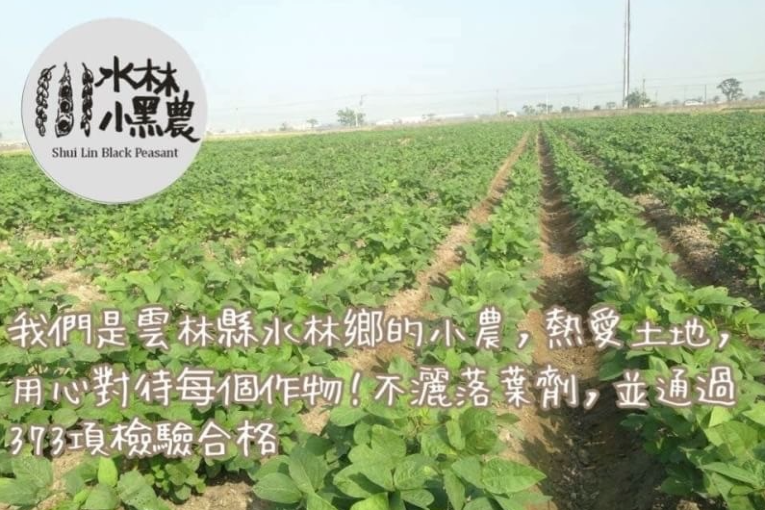 水林小黑農