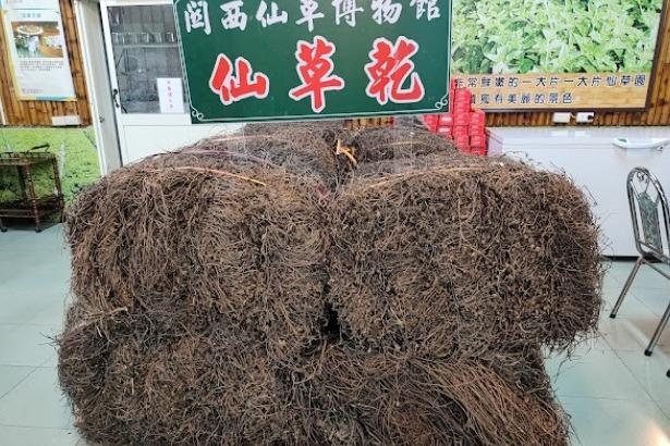 特色照片