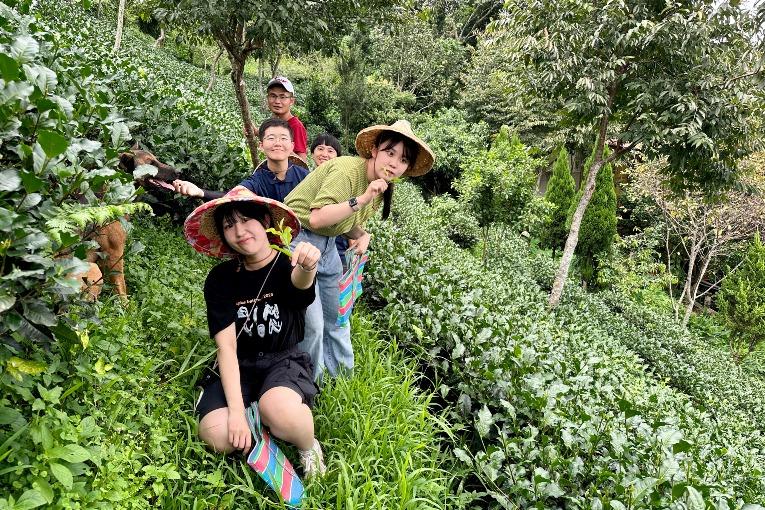 張師傅生態紅茶園(茶米國TE-BI-KOK）