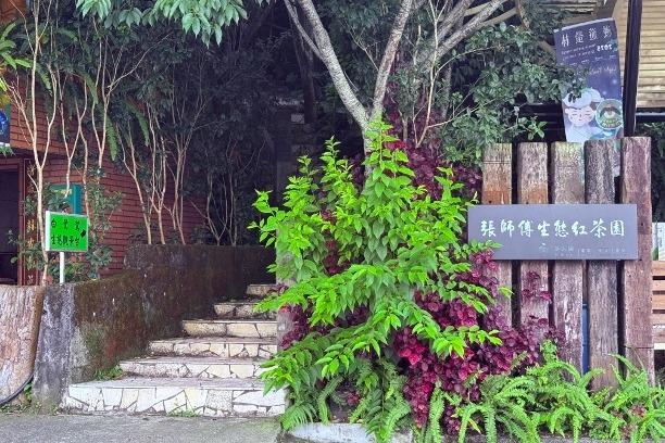 特色照片
