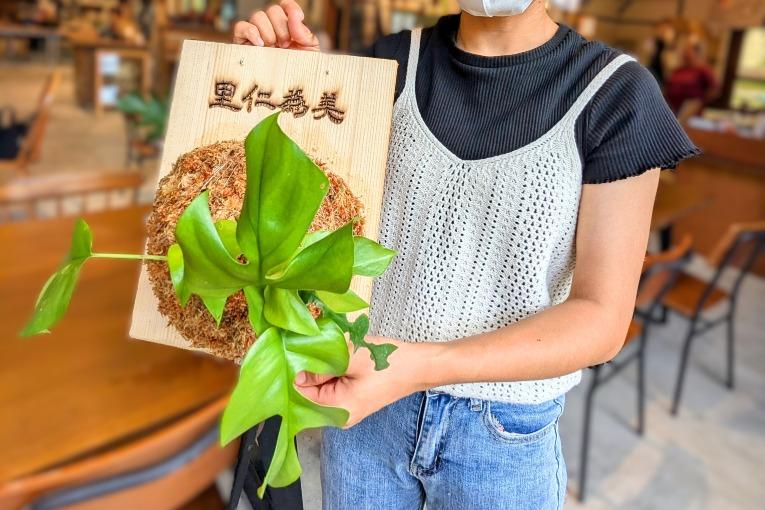 特色照片