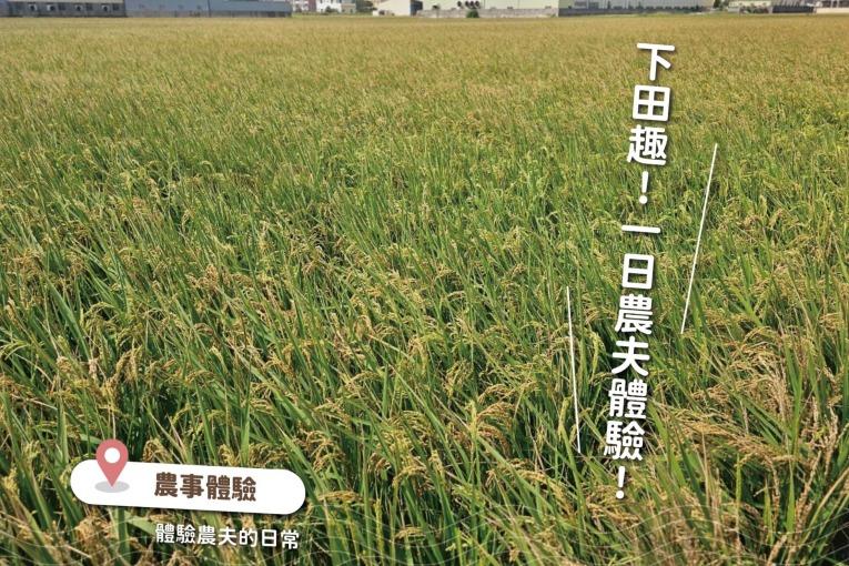 特色照片