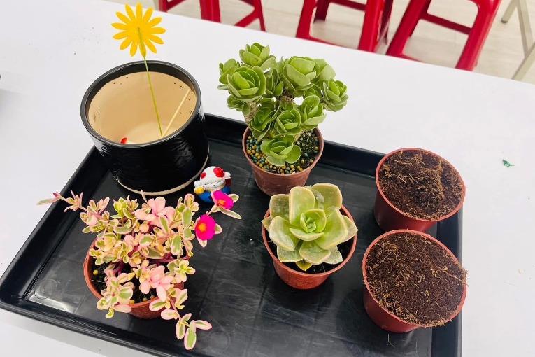 特色照片