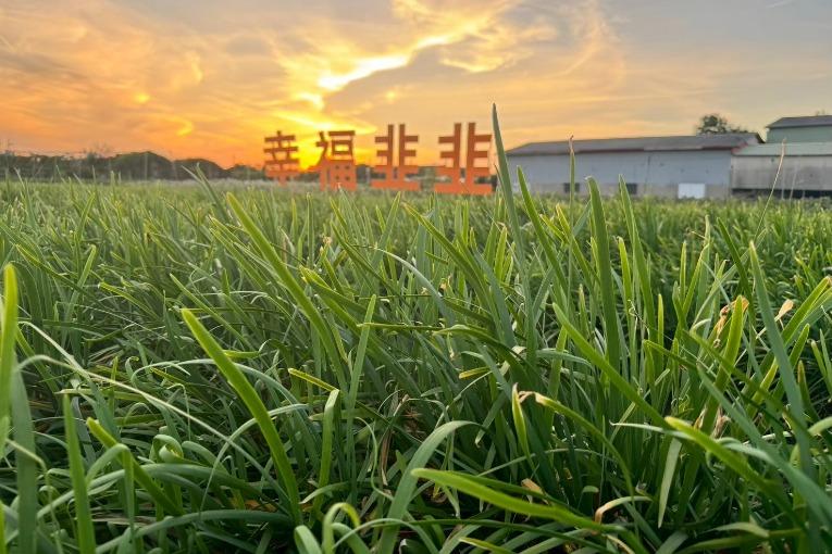 特色照片