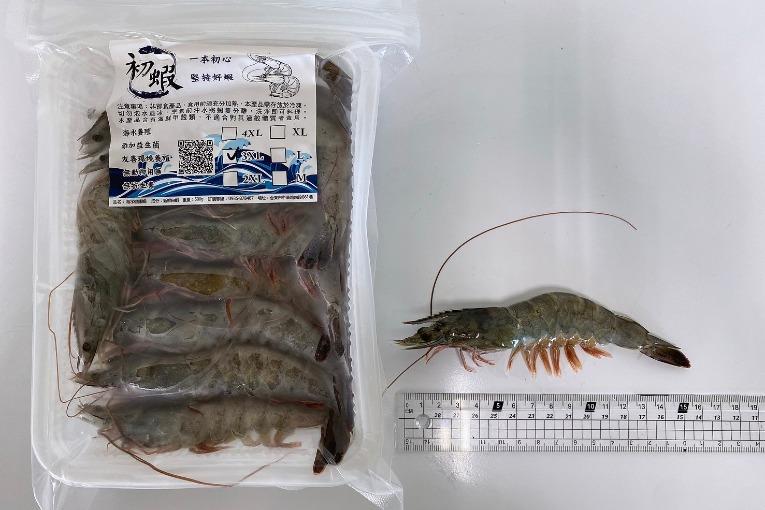 特色照片