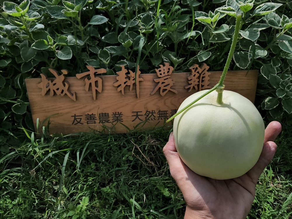 特色照片