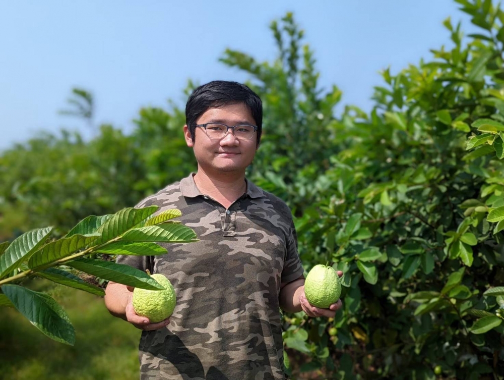 芭樂巴巴巴農場