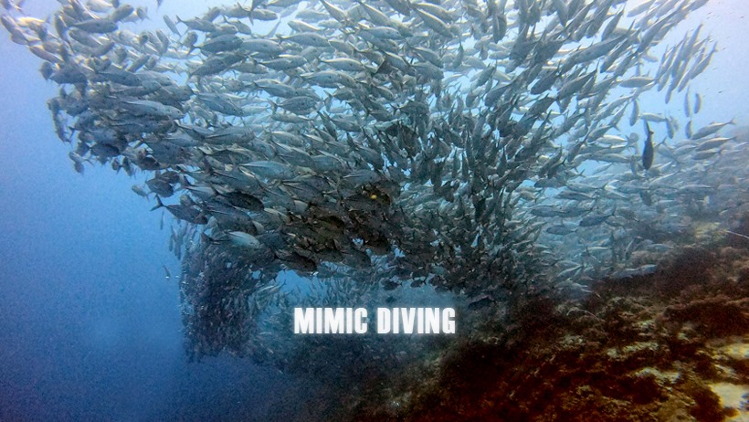 秘密客潛水旅宿