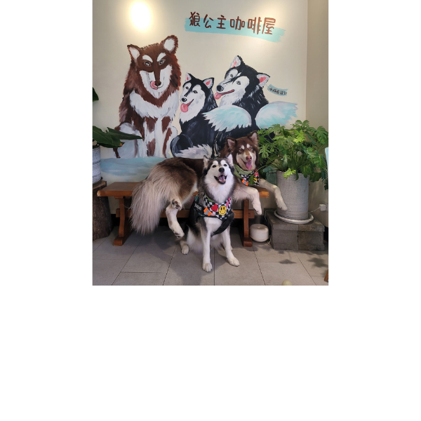 特色照片