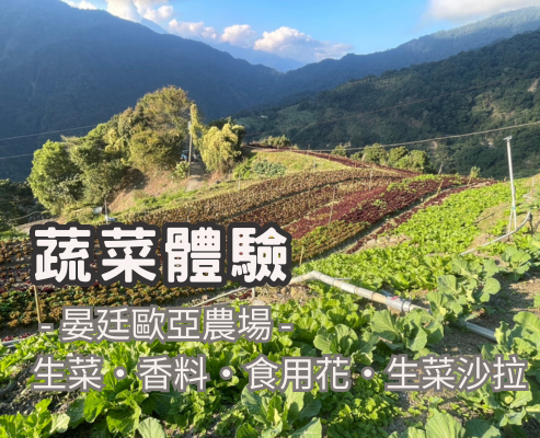 蔬菜體驗｜生菜 ‧ 香料 ‧ 食用花 ‧ 生菜沙拉