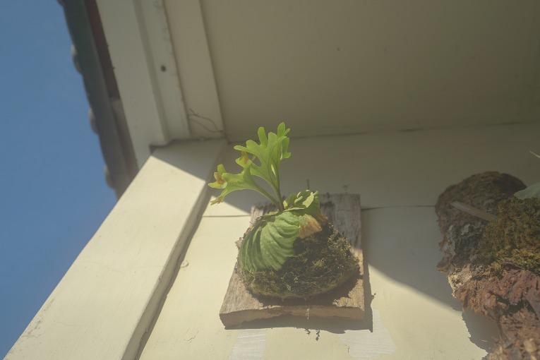 特色照片