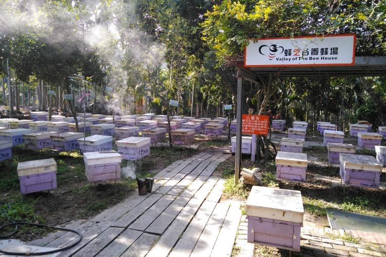 特色照片