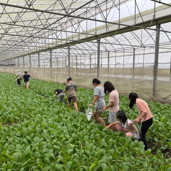 華興青果行