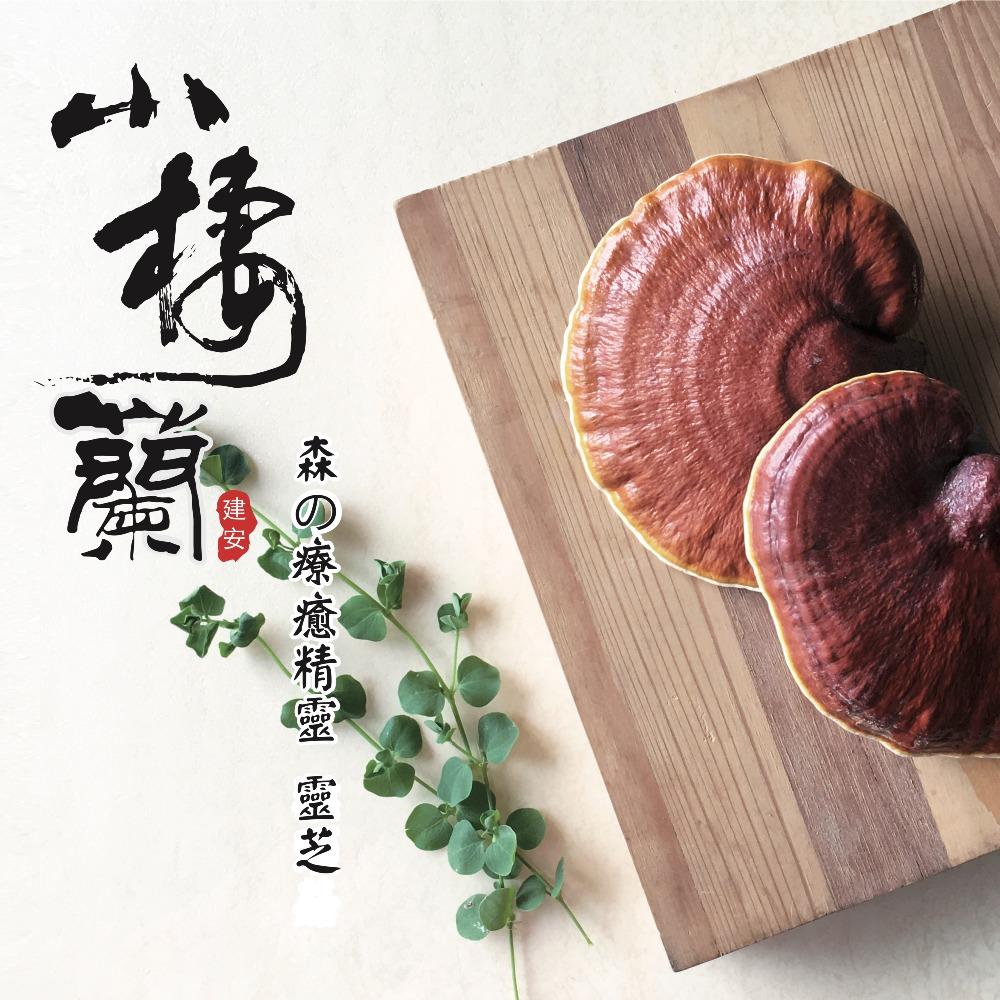 特色照片