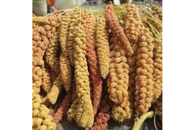 特色照片