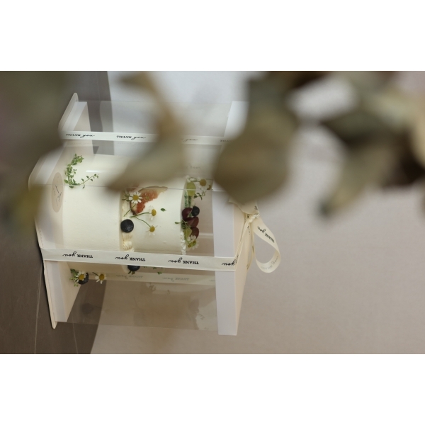 杉杉來茈